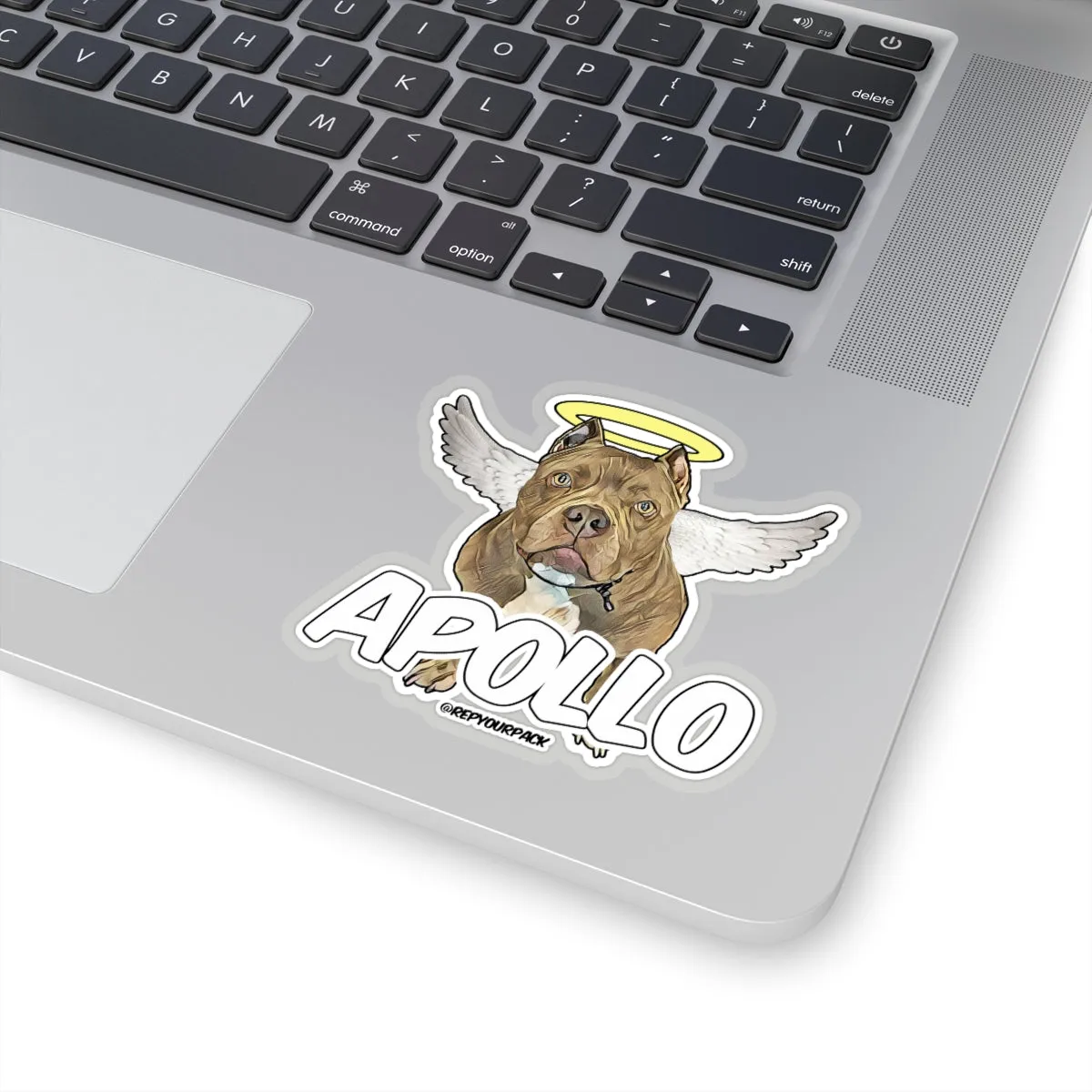 Apollo Angel Wings Stickers