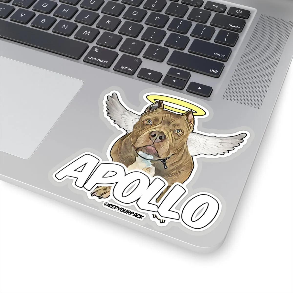 Apollo Angel Wings Stickers