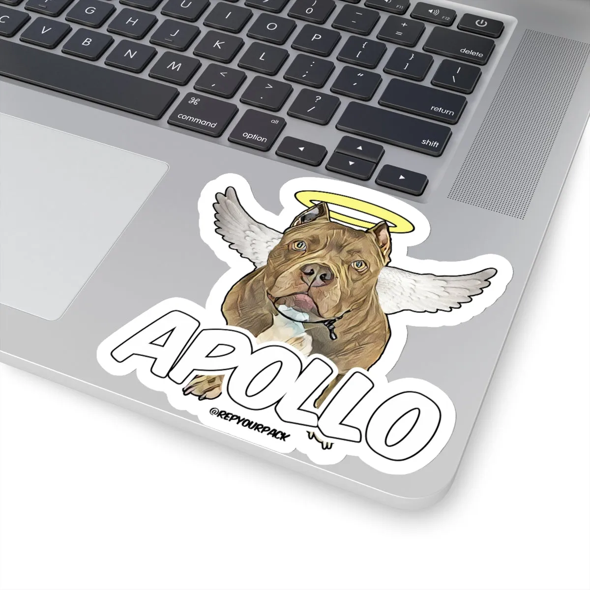 Apollo Angel Wings Stickers