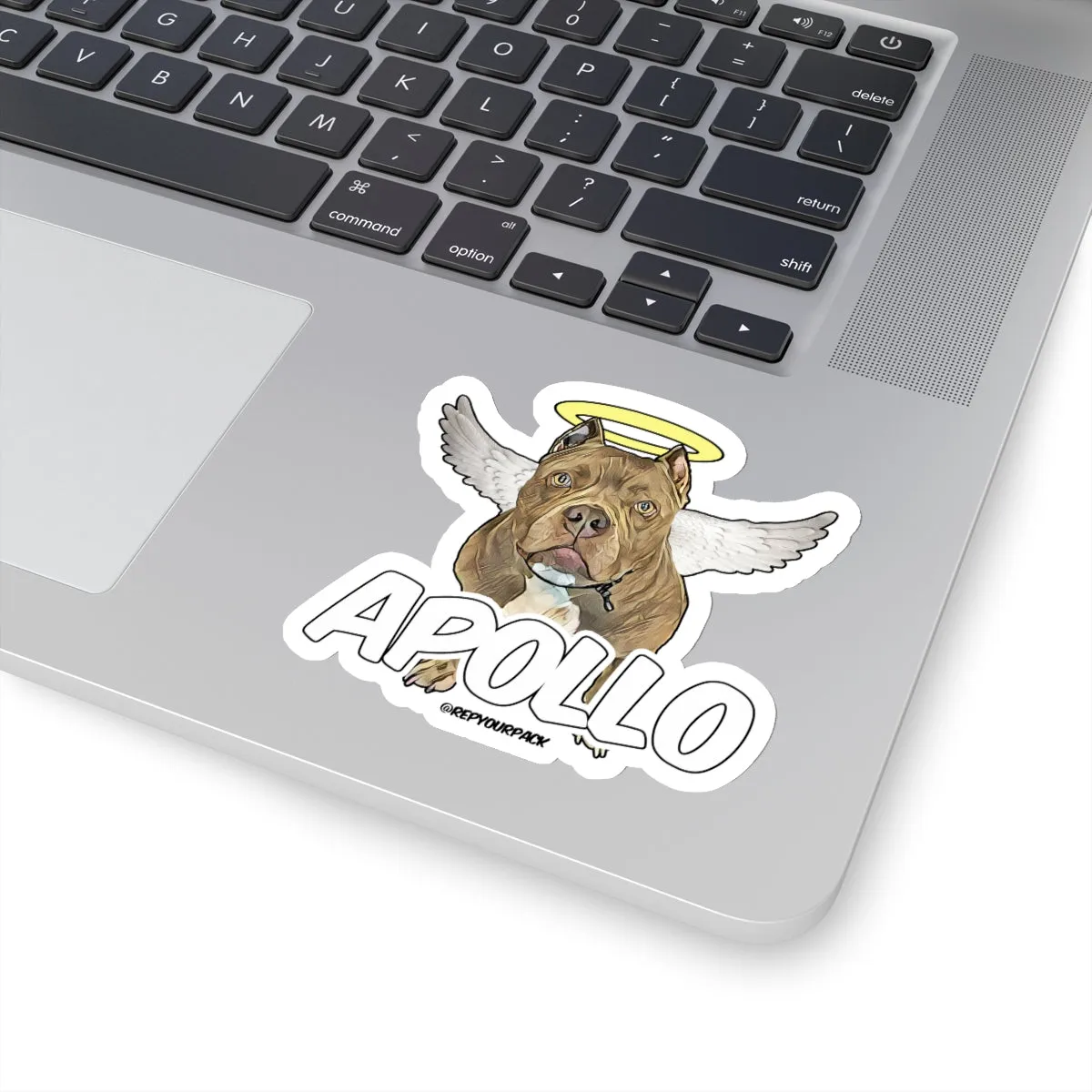 Apollo Angel Wings Stickers