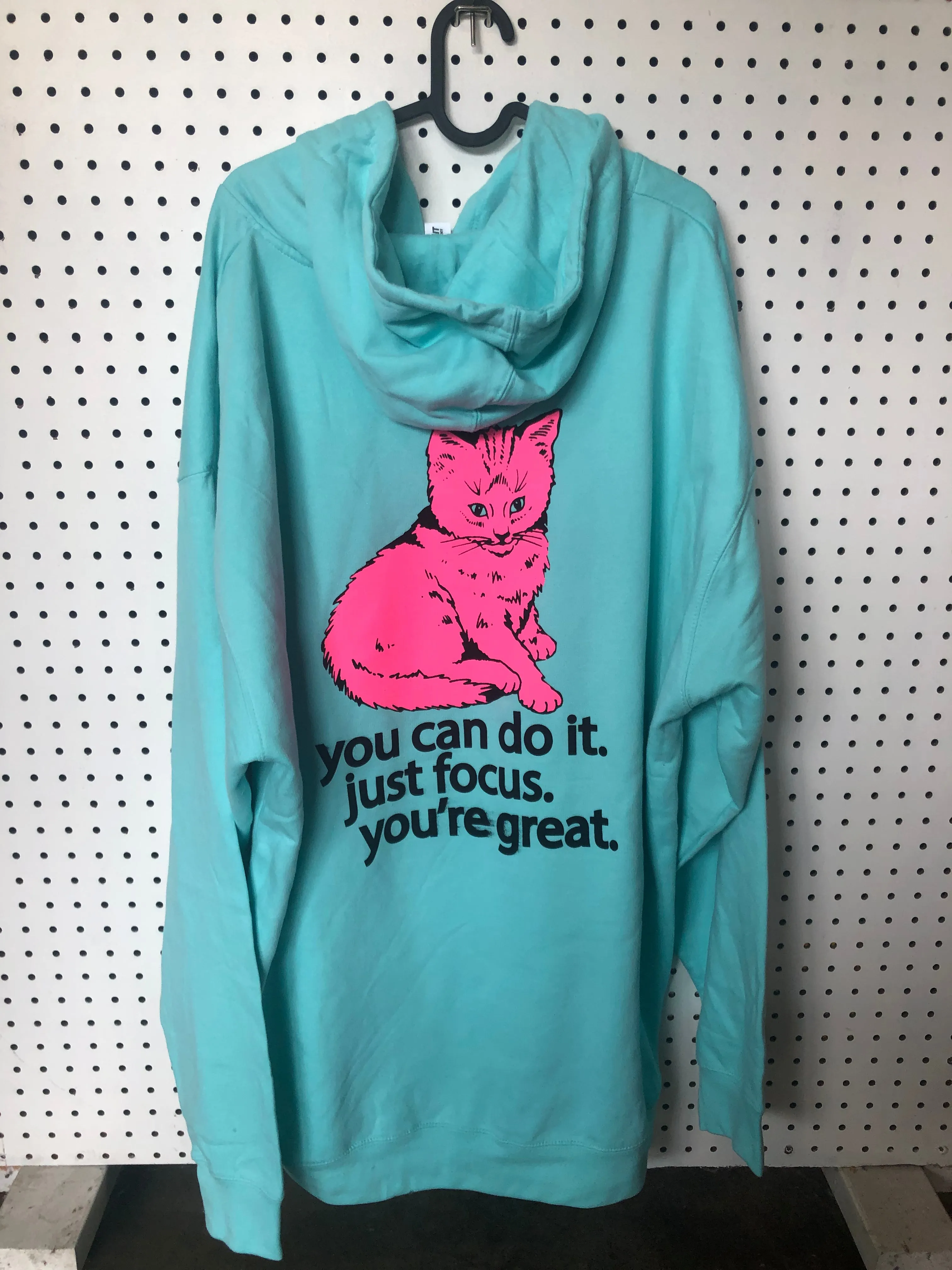 BPR- 3XL Light Blue and Pink Hoodie - Focus Cat