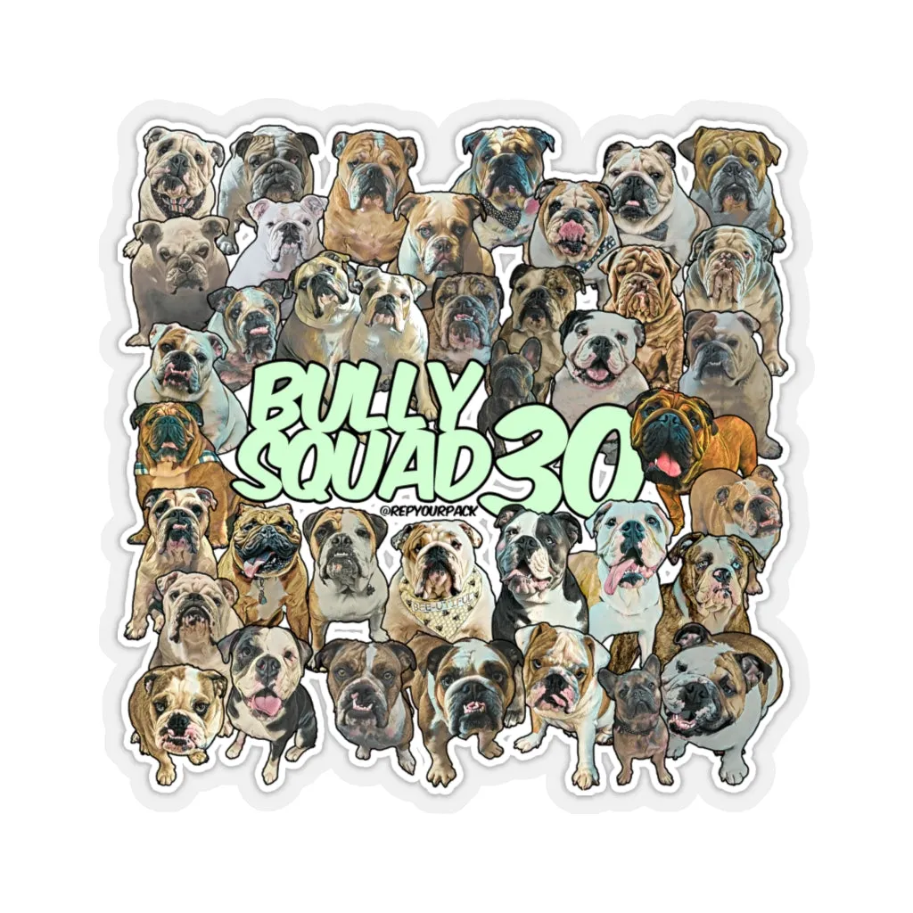 Bully Squad 30 Green Sticker