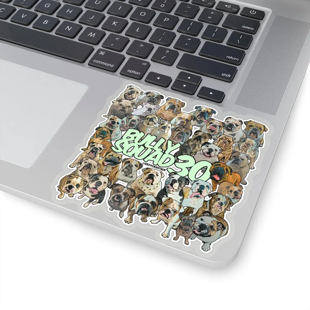 Bully Squad 30 Green Sticker