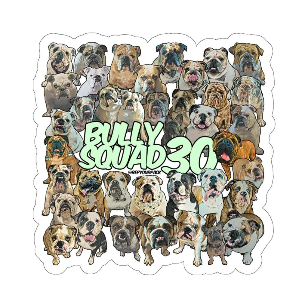 Bully Squad 30 Green Sticker