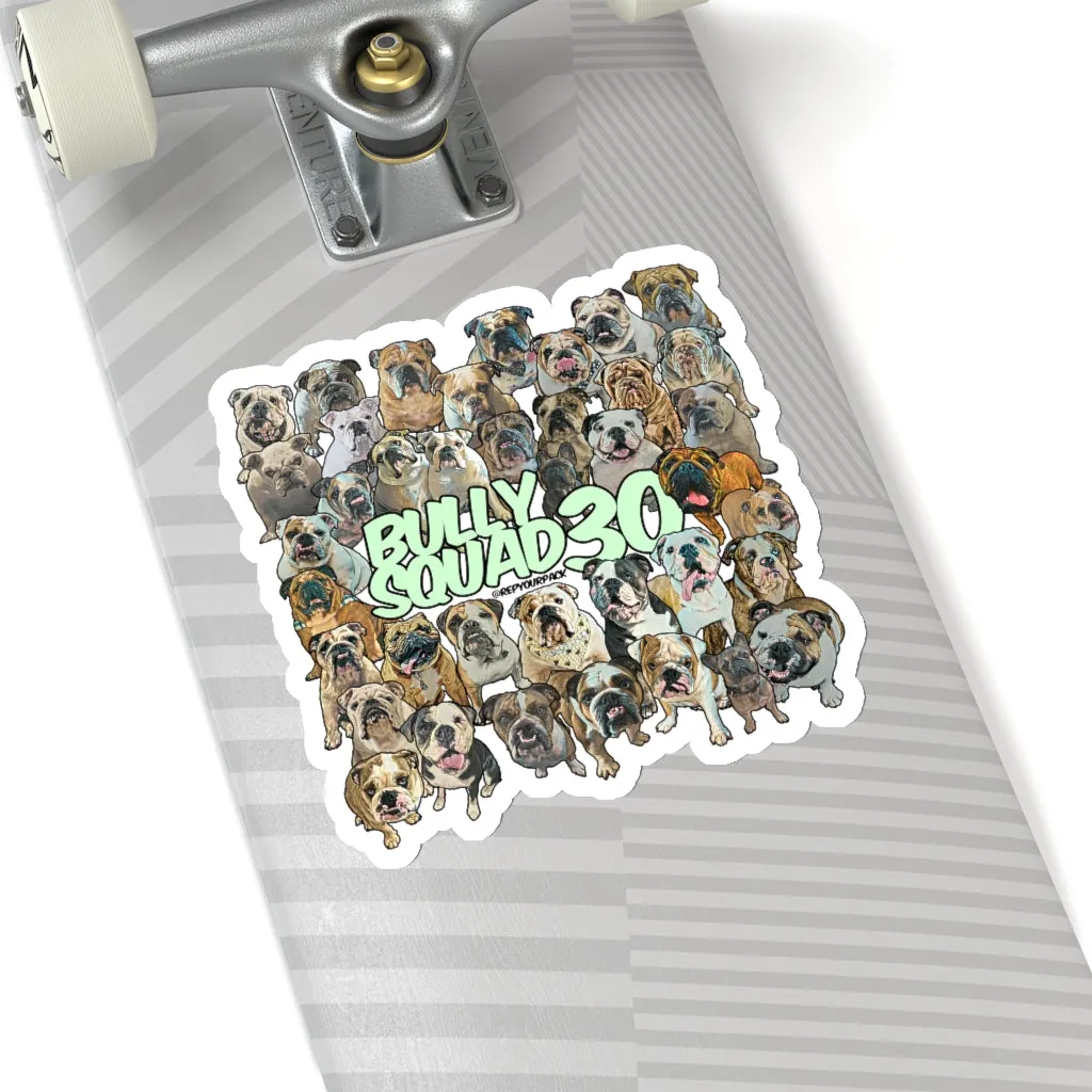 Bully Squad 30 Green Sticker