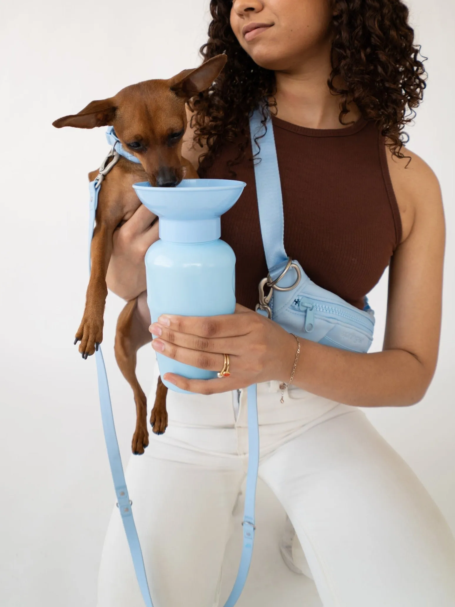 Classic Dog Travel Bottle by Springer