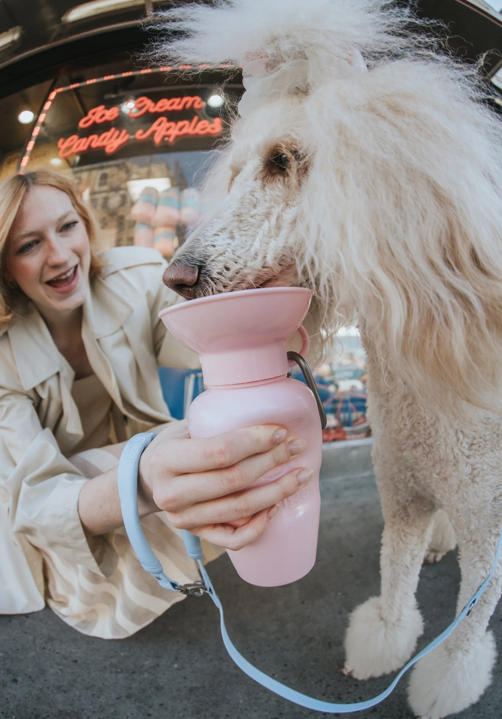 Classic Dog Travel Bottle by Springer