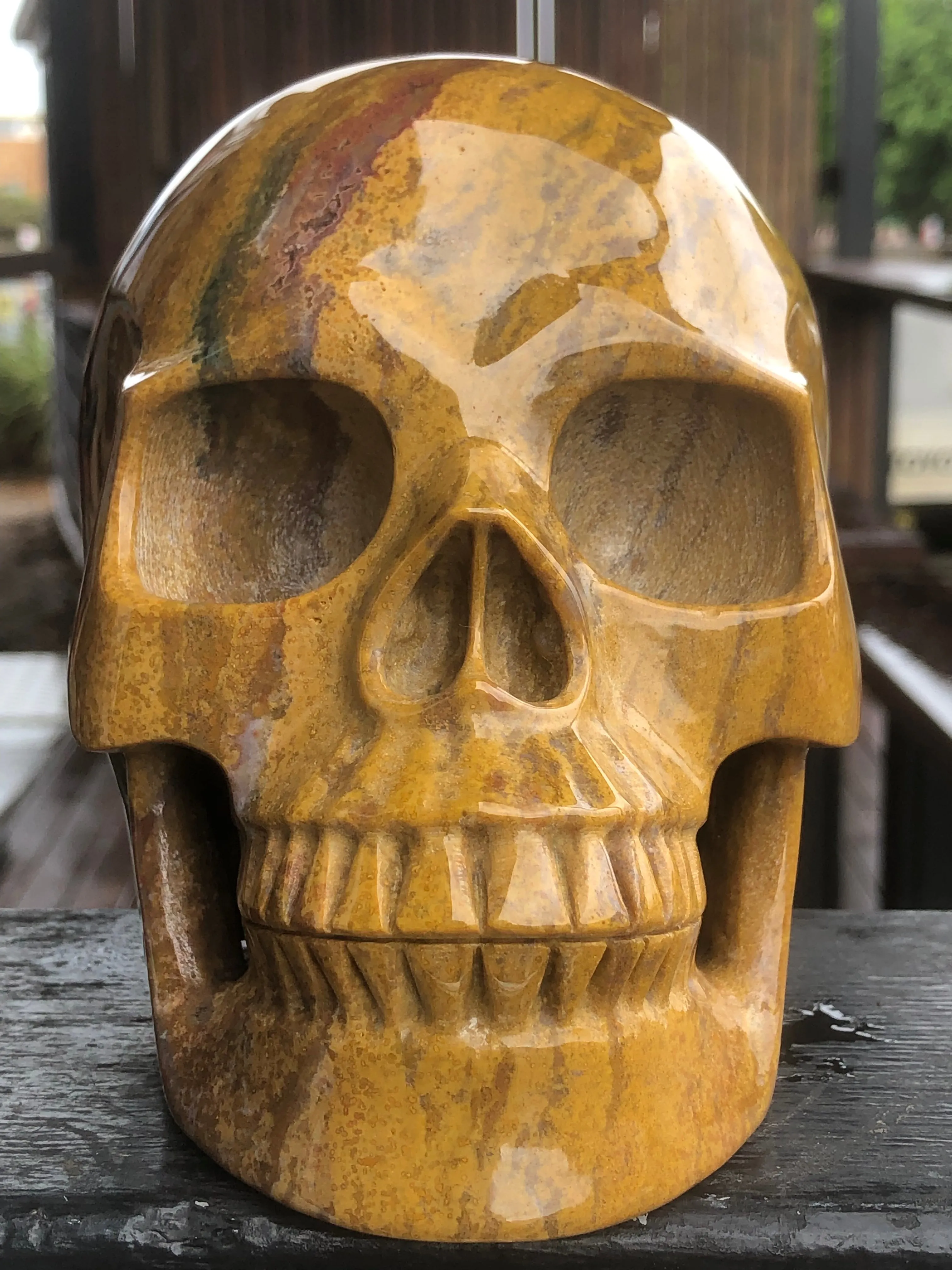 Indian Agate Skull [1k1556]