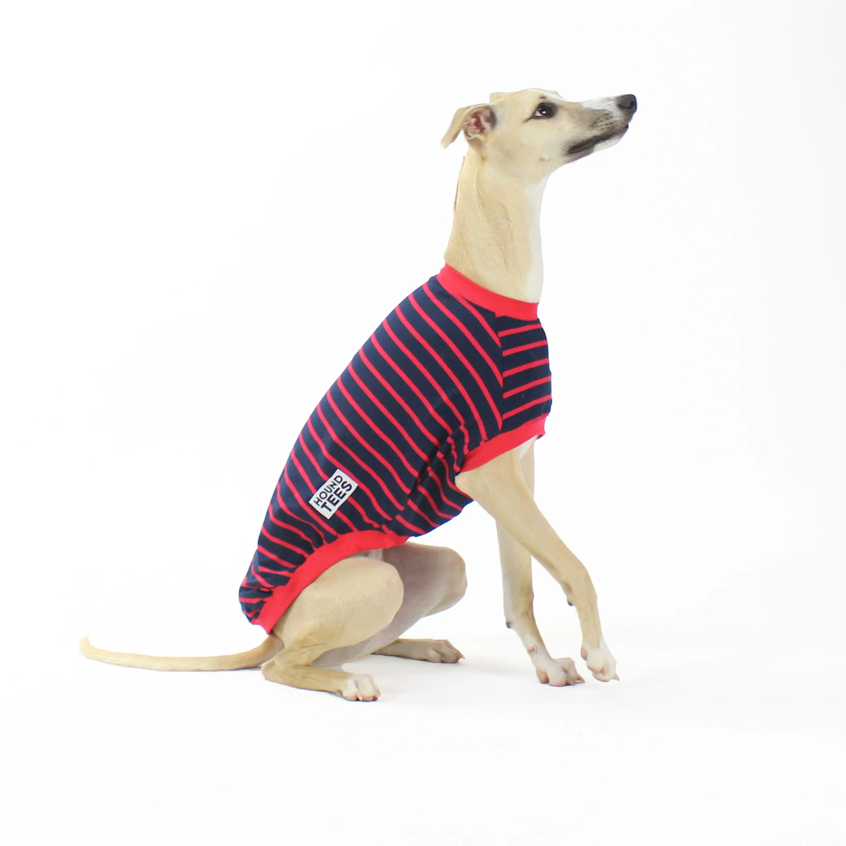 Long Bouys Whippet Sleeveless Hound-Tee