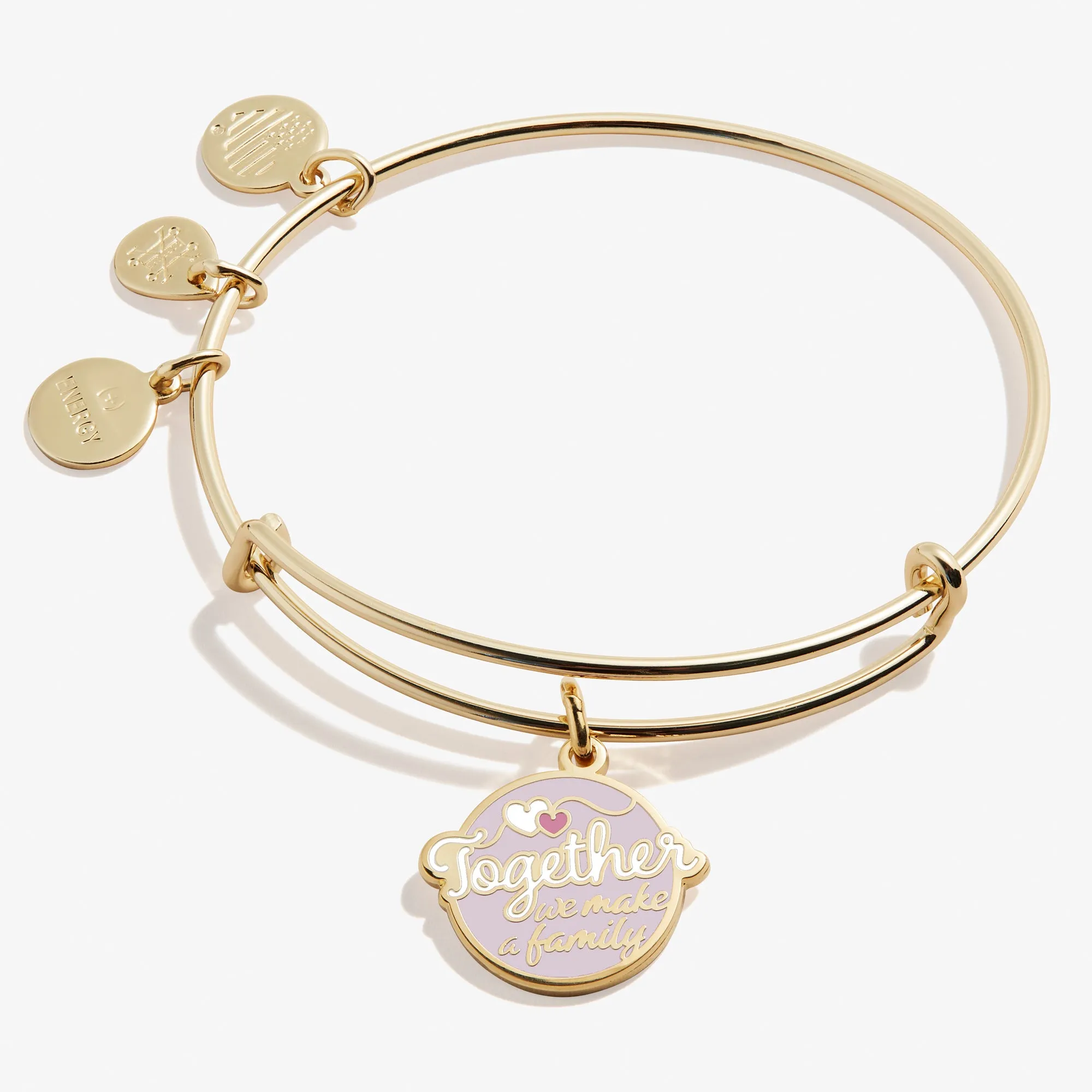 'Together We Make a Family' Charm Bangle Bracelet